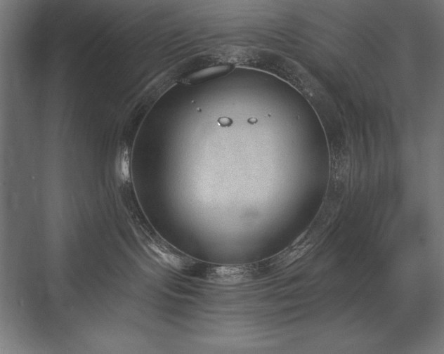 X0000076370095200610061110