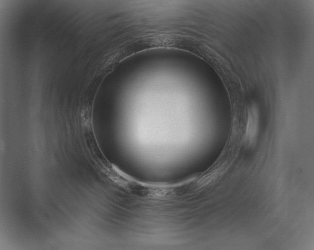 X0000076370096200610061110