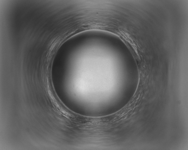 X0000076370097200610061109