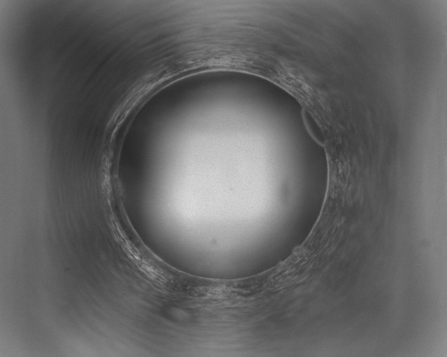 X0000076370098200610061109