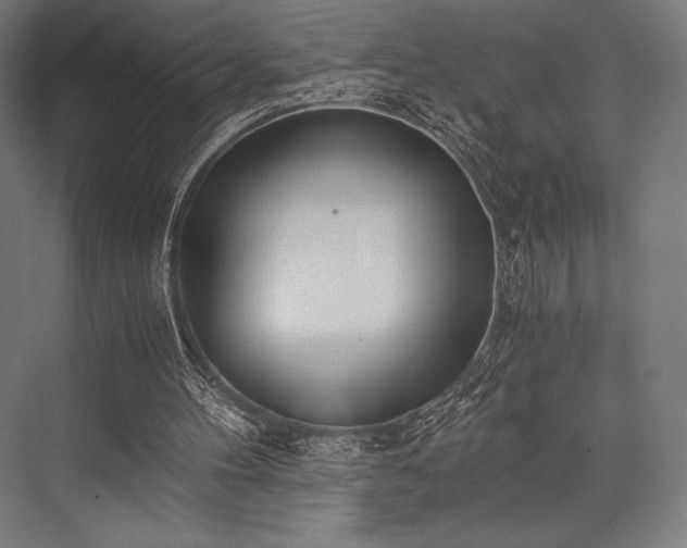 X0000076370100200610061109
