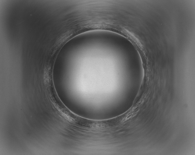 X0000076370105200610061109