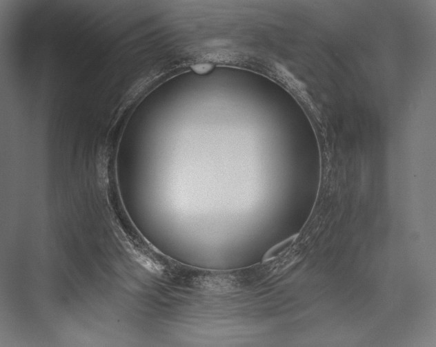 X0000076370106200610061109
