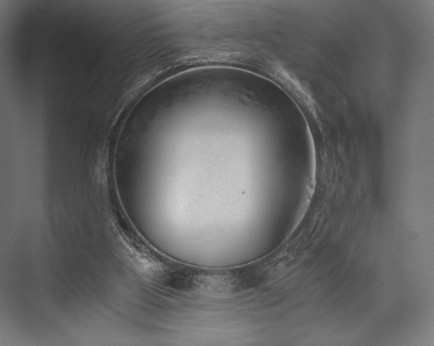 X0000076370107200610061109
