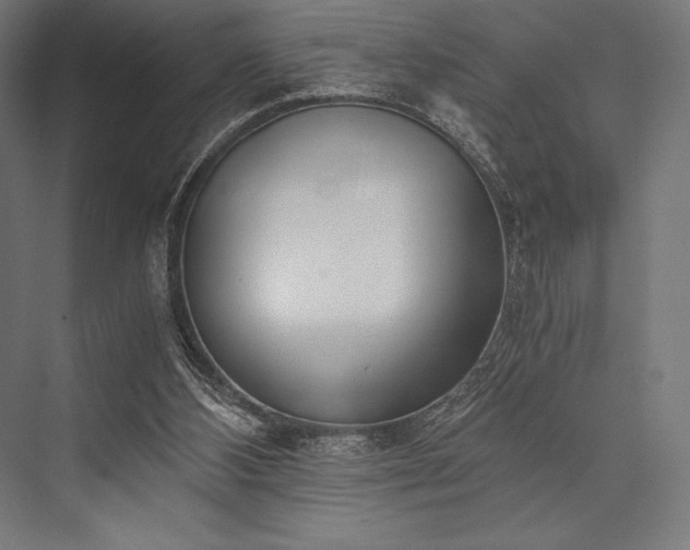 X0000076370108200610061109
