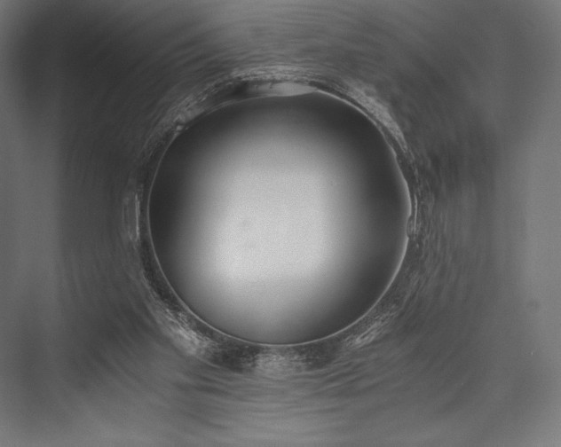 X0000076370109200610061109