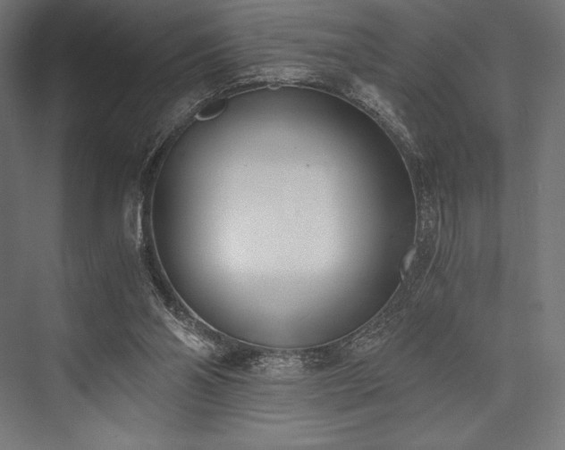 X0000076370110200610061109