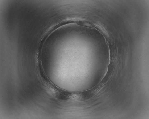 X0000076370111200610061108