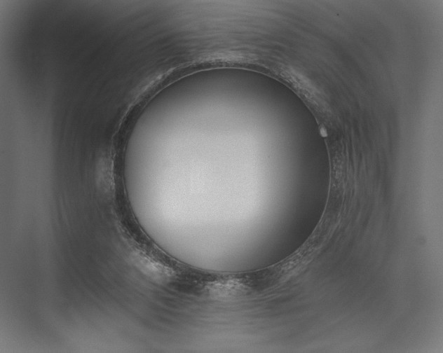 X0000076370112200610061108