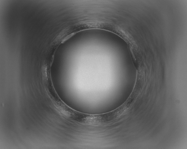 X0000076370117200610061108