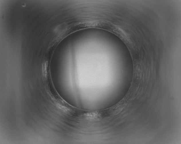 X0000076370118200610061108
