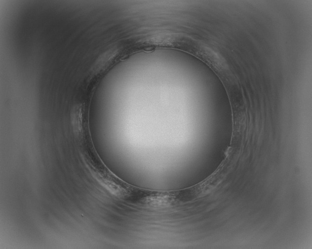 X0000076370120200610061108
