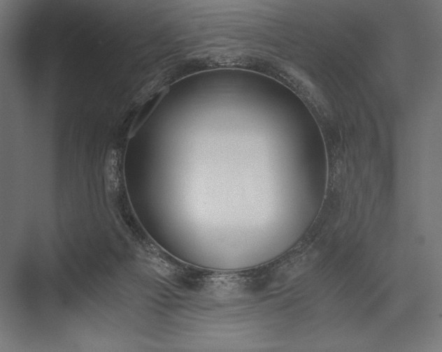 X0000076370121200610061108
