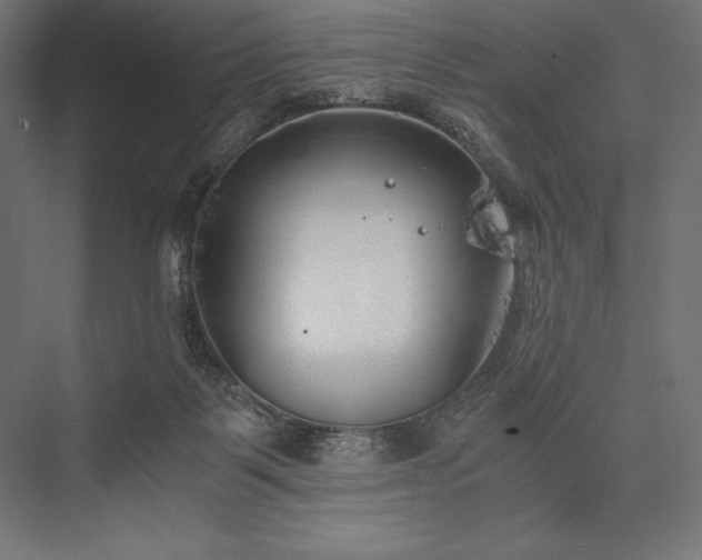 X0000076370123200610061108
