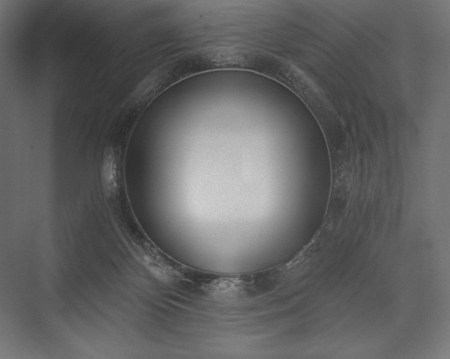 X0000076370124200610061108