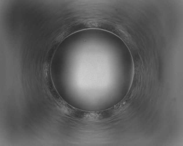 X0000076370125200610061108