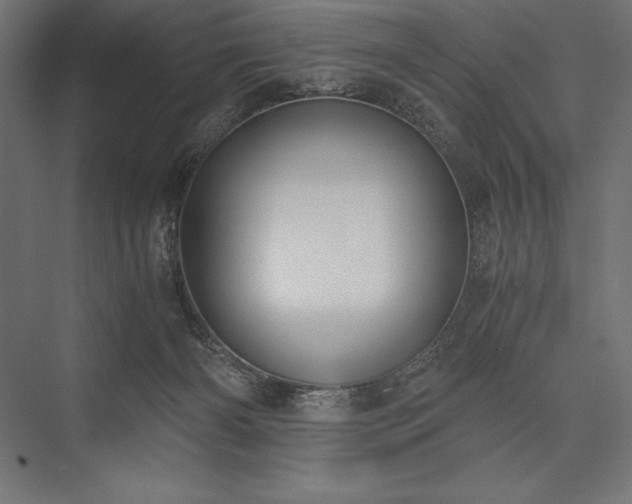 X0000076370126200610061108