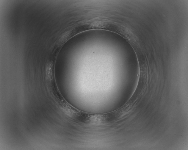 X0000076370127200610061108