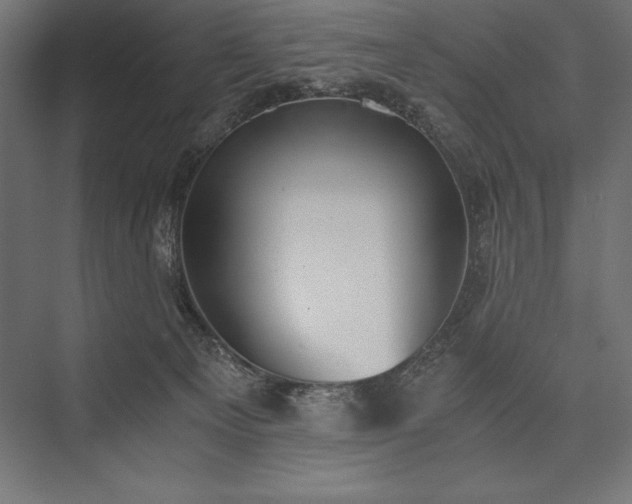 X0000076370129200610061108