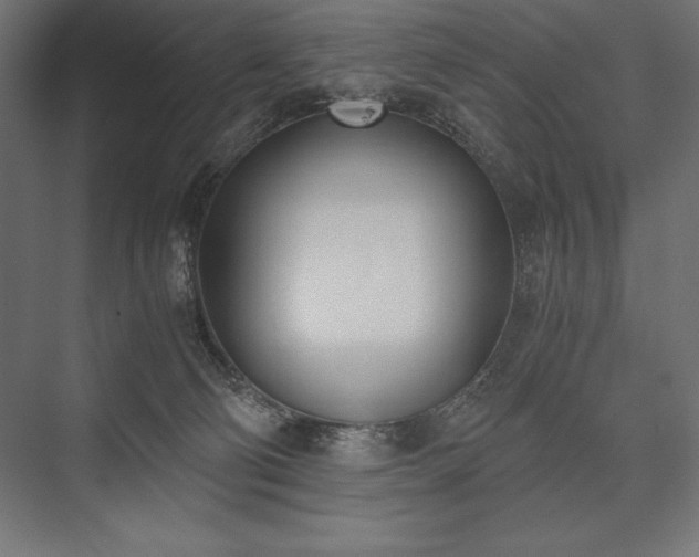 X0000076370130200610061108