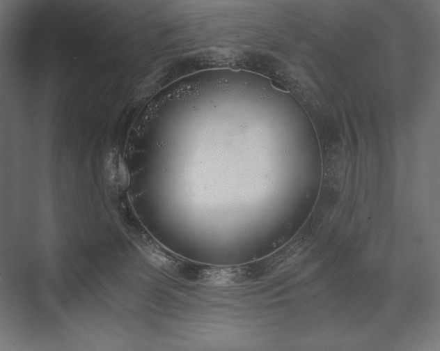 X0000076370131200610061108