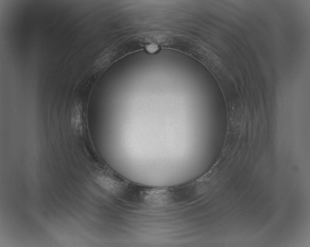 X0000076370132200610061108