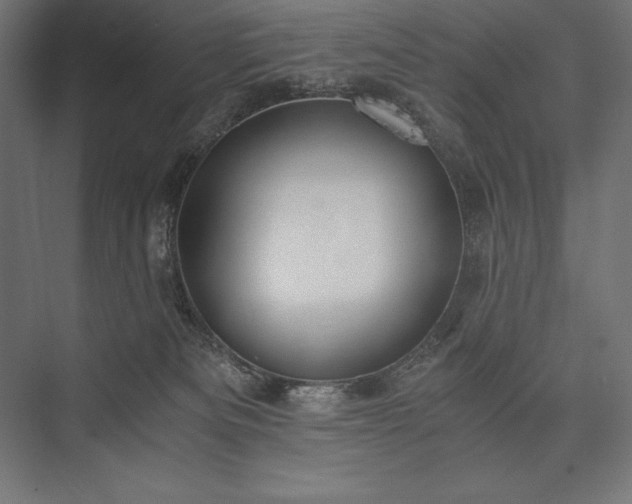 X0000076370133200610061108