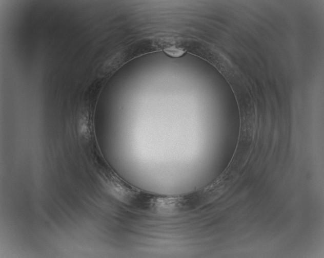X0000076370134200610061108