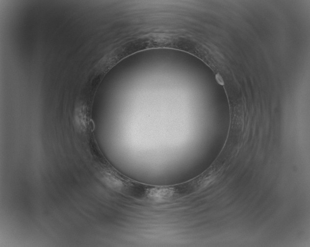 X0000076370135200610061108
