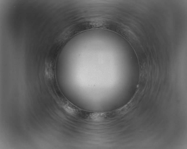 X0000076370136200610061108