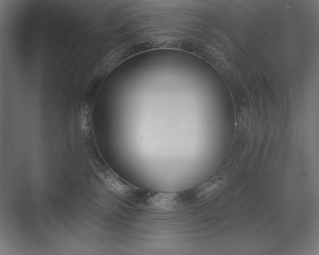 X0000076370138200610061108