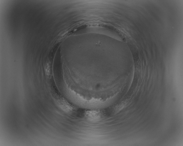 X0000076370139200610061108