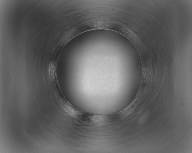 X0000076370142200610061108