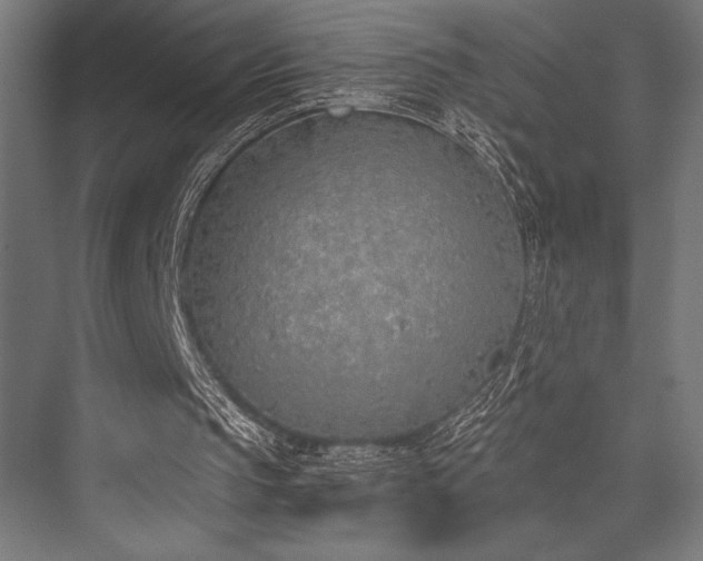 X0000076370145200610061107