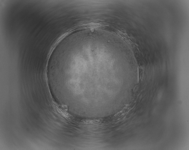 X0000076370147200610061107