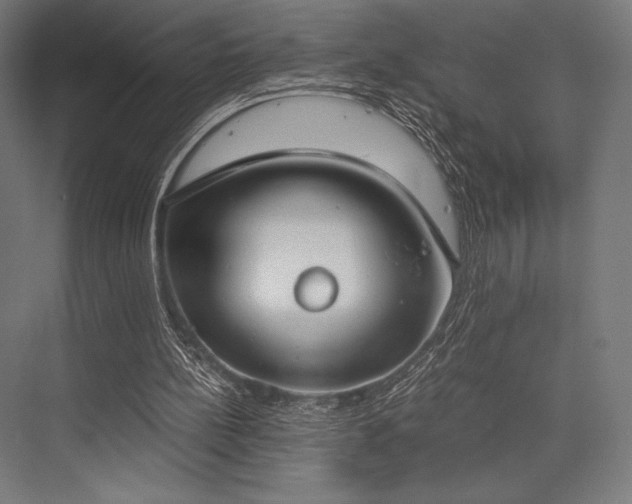 X0000076370148200610061107