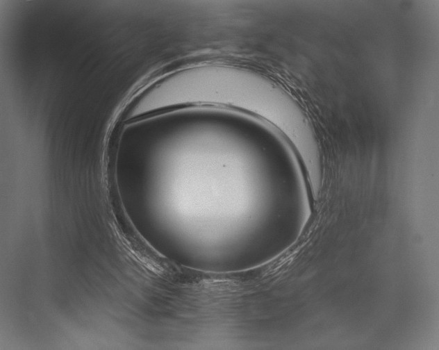 X0000076370150200610061107