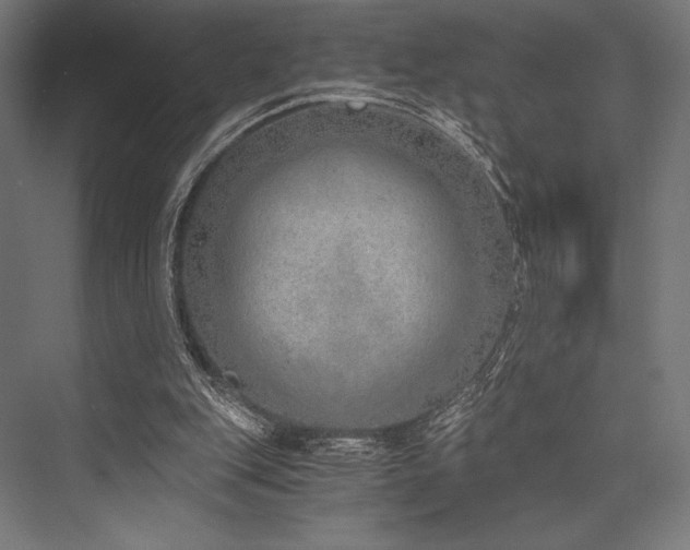 X0000076370151200610061107
