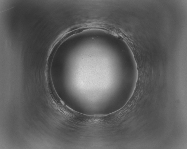 X0000076370152200610061107