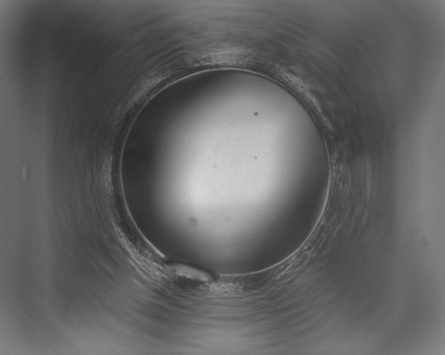 X0000076370154200610061107