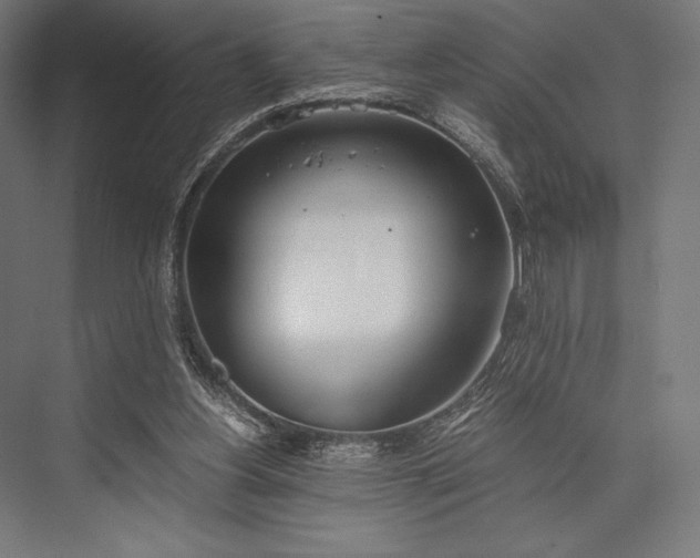 X0000076370156200610061107