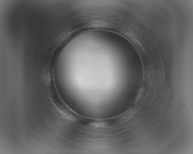 X0000076370160200610061107