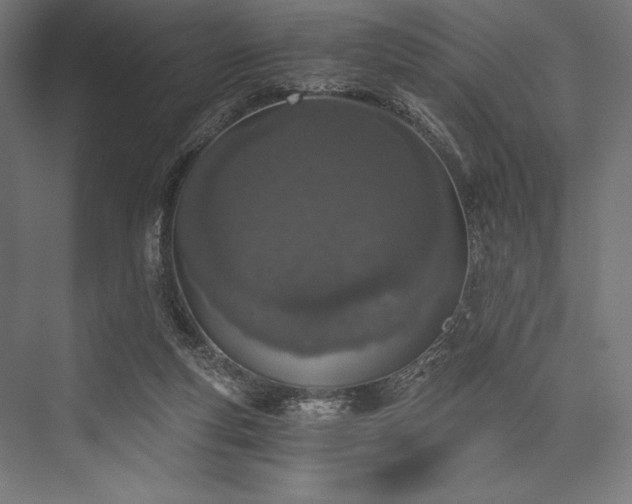 X0000076370163200610061107