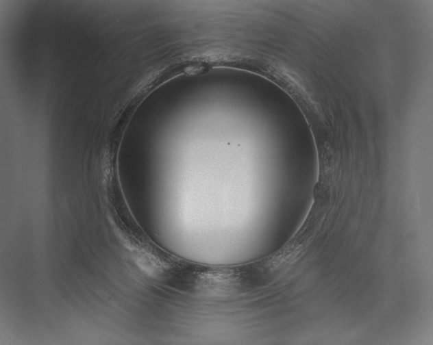 X0000076370164200610061107