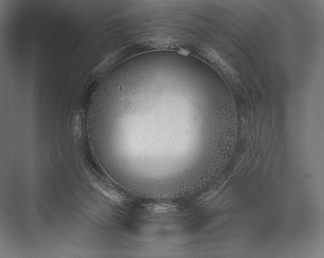 X0000076370165200610061107