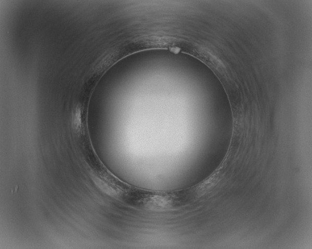 X0000076370166200610061107