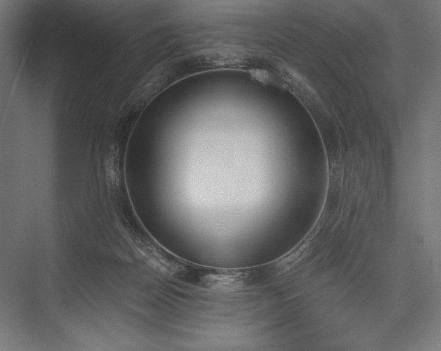 X0000076370170200610061108