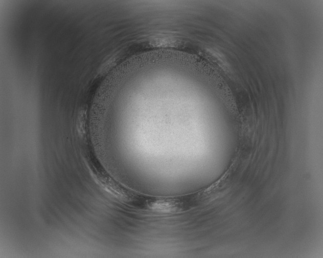 X0000076370171200610061108