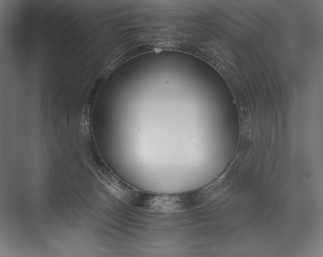 X0000076370179200610061108