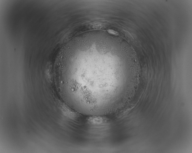 X0000076370181200610061108